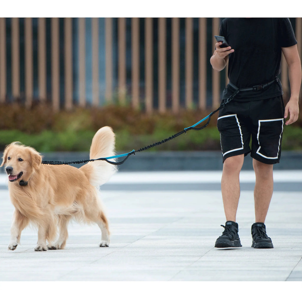 Iyoshop Hands Free Dog Leash with Zipper Pouch, Dual Padded Handles and Durable Bungee for Walking, Jogging and Running Your Dog