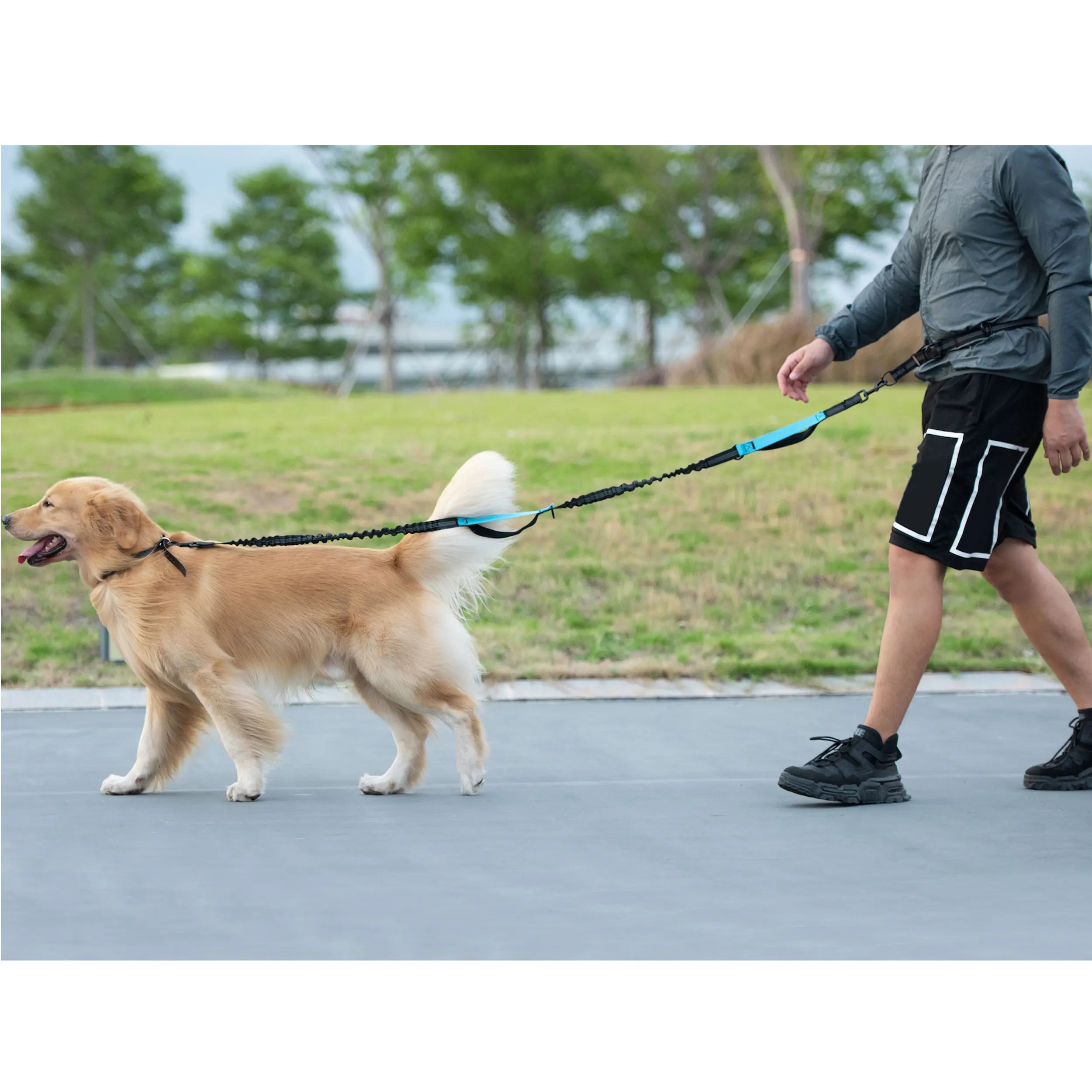 Iyoshop Hands Free Dog Leash with Zipper Pouch, Dual Padded Handles and Durable Bungee for Walking, Jogging and Running Your Dog